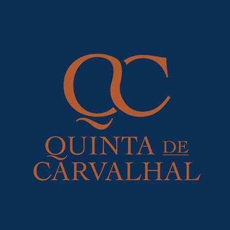 Quinta de Carvalhal - Casa da Vinha Guimarães Exterior foto