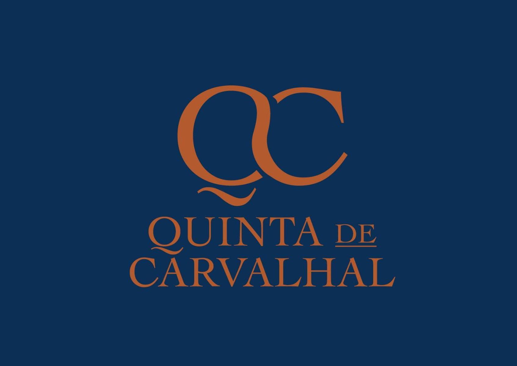 Quinta de Carvalhal - Casa da Vinha Guimarães Exterior foto