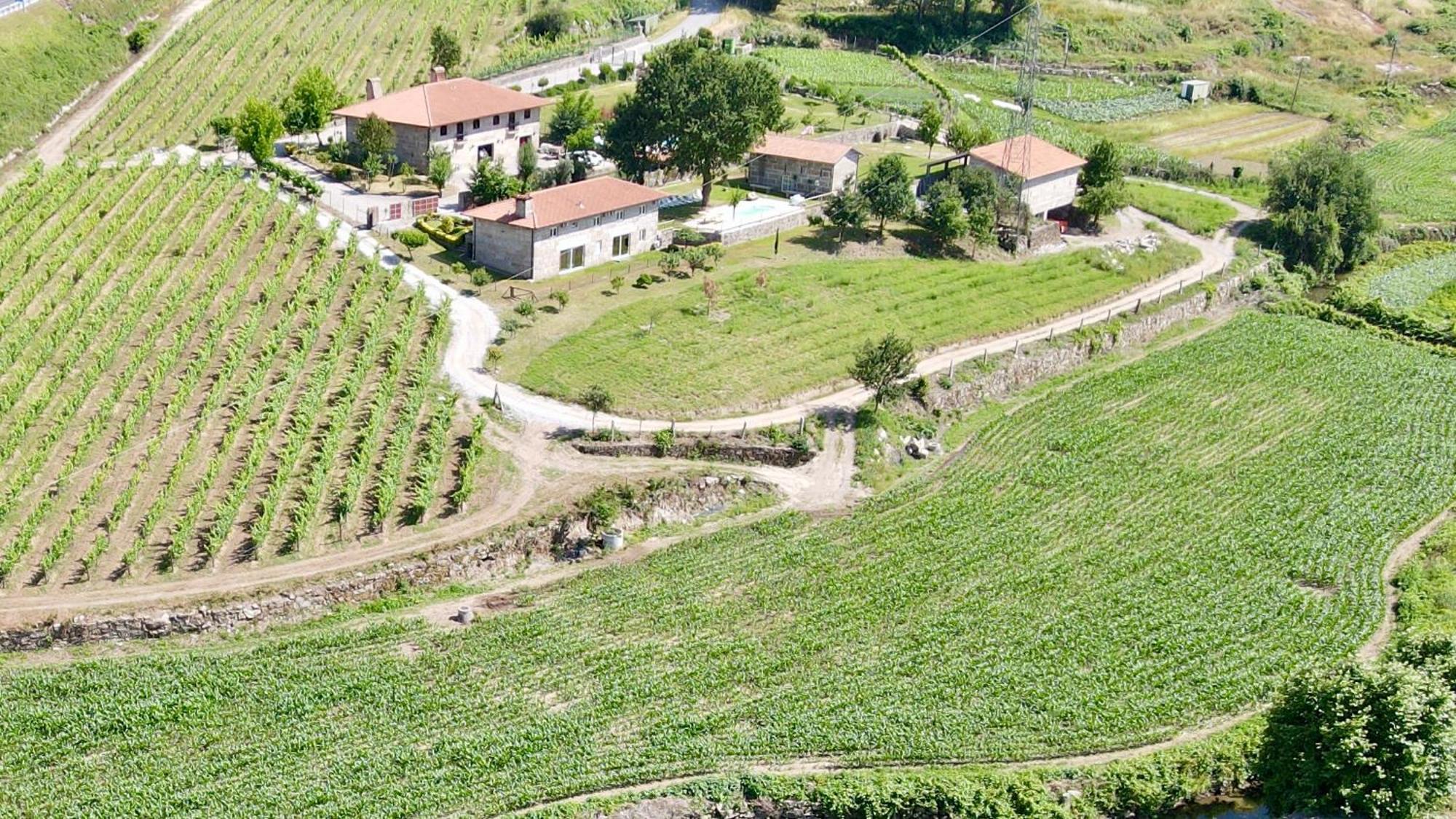 Quinta de Carvalhal - Casa da Vinha Guimarães Exterior foto